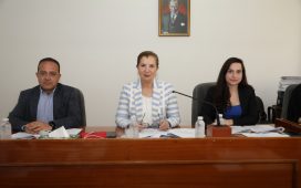 “Kuzey Kıbrıs Muhasebe ve Denetim Meslek Yasa Tasarısı”nın Komitede görüşülmesine devam edildi