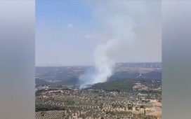 Adana ve İzmir’de çıkan orman yangınlarına müdahale ediliyor