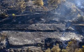 Güney Lefkoşa’ya bağlı “Farmaka” köyü bölgesinde çıkan yangın kontrol altına alındı