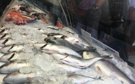 Perakende balık satış noktalarındaki denetimler yapılıyor