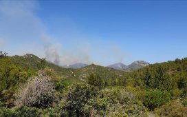 Yangınları önlemeye yönelik tedbirler alındı: Ateşli piknik yasaklandı, orman yolları trafiğe kapatıldı